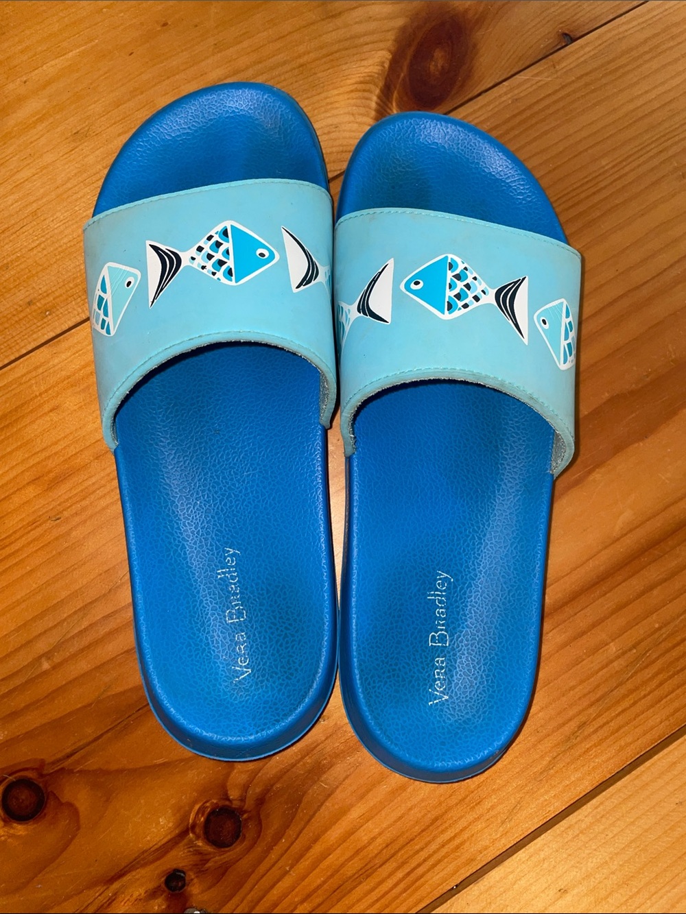 Vera Bradley Blue & Aqua Fish Slide Sandals